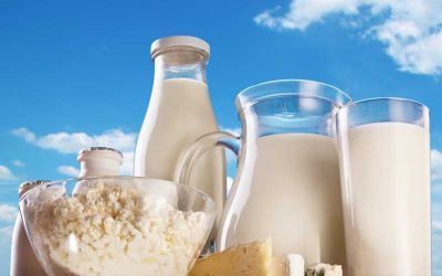 Mleko i mlečni proizvodi