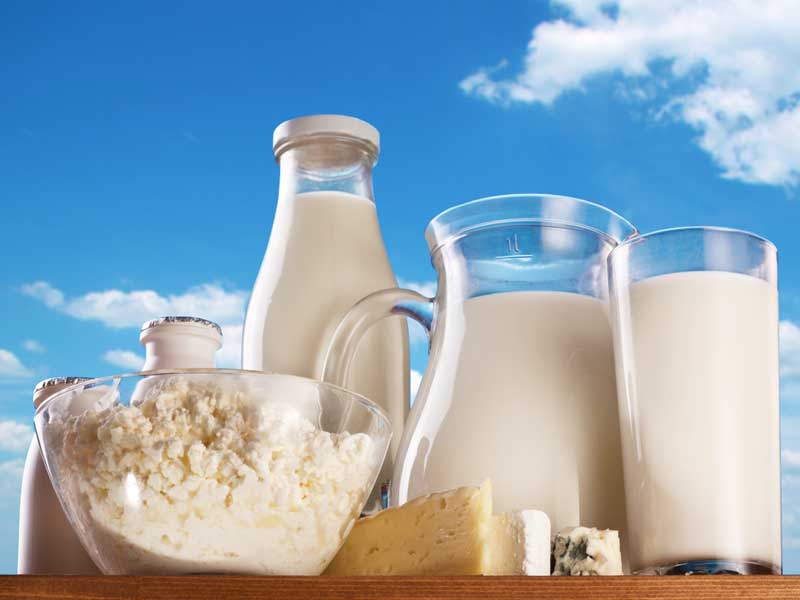 Mleko i mlečni proizvodi